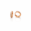 Anti Tarnish CZ Earring 103