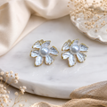 Premium Fancy Earring (9498) 55