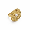 Rings 67