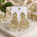 Premium fancy Earring (9655) 105