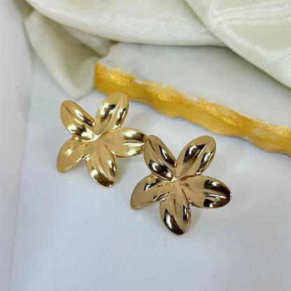 Anti tarnish earrings